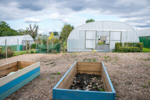 veg garden 2 300x200 veg garden 2 300x200