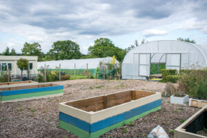 veg garden 3 300x200 veg garden 3 300x200