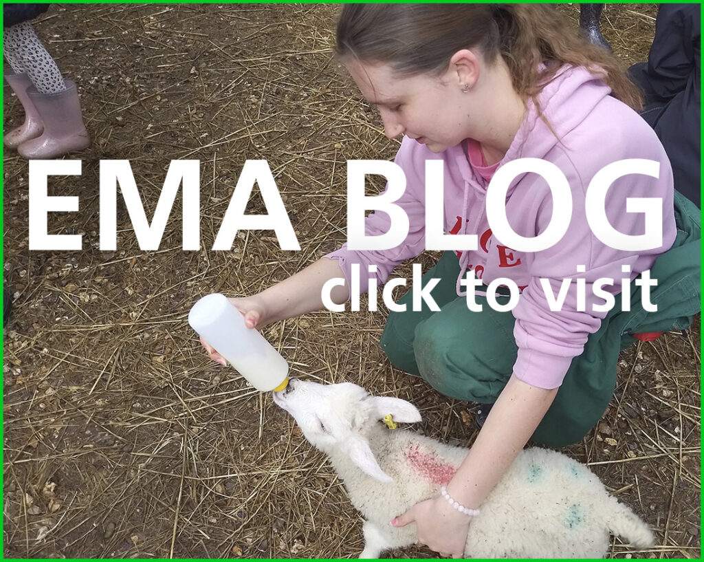 blogclick 1024x817