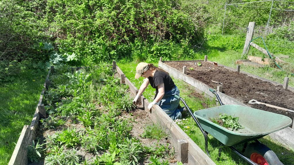 a student is kneeling and working with a planter in a garden