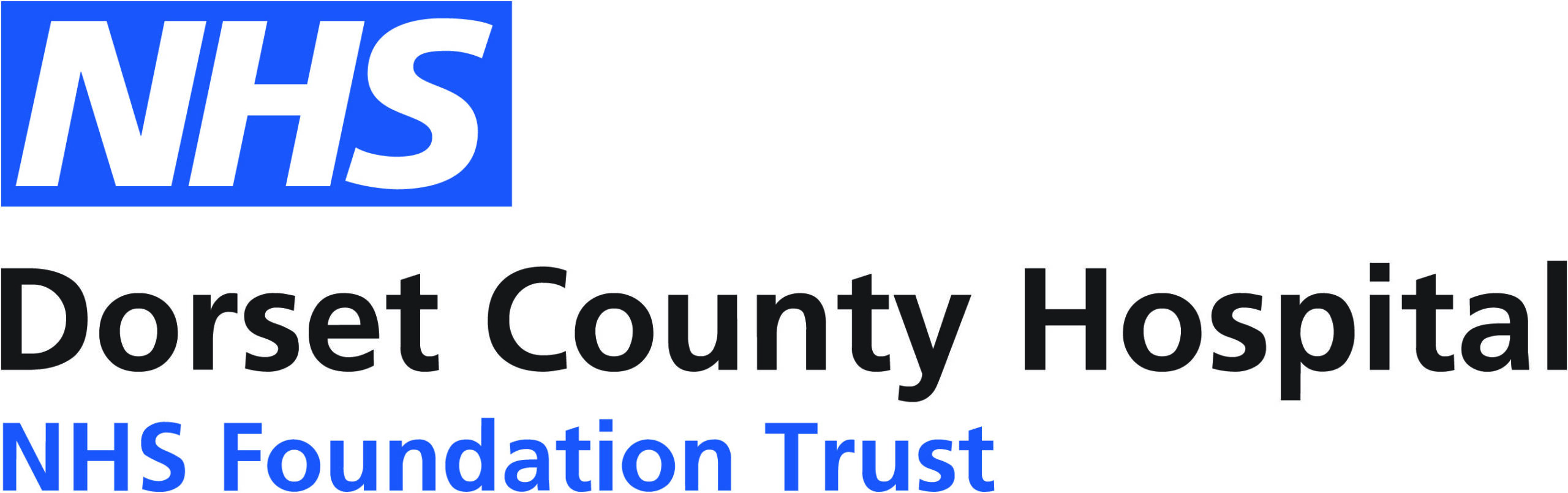 dorchester county hospital logo  scaled